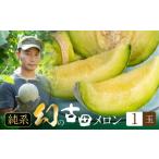 ふるさと納税 メロン メロン青肉 愛知県 田原市 先行予約 渥美半島石井農園・純系 古田メロン1玉 2025年7月発送 石井農園 純系 箱詰め メロン フルーツ 果物 …