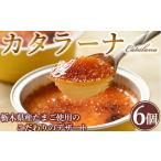菓子 プリン 真面目にカタラーナ 着日指定不可