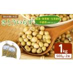豆類 大豆 さとういらず 農薬 除草剤 化学肥料