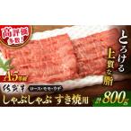 ふるさと納税 牛肉 しゃぶしゃぶ 佐賀県 嬉野市  選べる発送時期 1月発送 佐賀牛 A5 厳選部位 しゃぶしゃぶ すき焼き 800g（400g×2P） 桑原畜産 NAB201 佐賀…