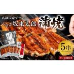 ふるさと納税 うなぎ 千葉県 南房総市  国産 うなぎ 「坂東太郎 使用」 蒲焼 5串 小サイズ 80g前後×5パック mi0058-0004 冷凍 鰻 うな重 うな丼 ひつまぶし …