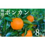 果物類 みかん 晩柑 ポンカン 8kg