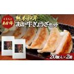 ふるさと納税 肉 熊本県 球磨村 FKP9-