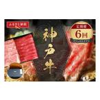 牛肉 ステーキ 和牛セレブ 神戸牛 定期便 ファーストクラス…