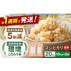 玄米 令和8年産 新米 こしひかり 10kg