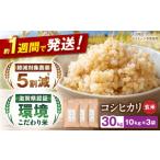 玄米 令和8年産 新米 こしひかり 10kg