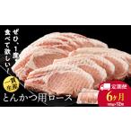 豚肉 ロース 定期便 6カ月 白老豚 とんかつ用 100g×12枚