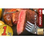 牛肉 サーロイン 赤身の旨みがぎっしり詰まったうるま牛サ…