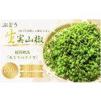 fu.... налог овощи вид приправа Wakayama префектура . прекрасный . блок предшествующий предварительный заказ виноград сырой плоды зантоксилума 500g 2026 год 5 месяц средний . из 5 месяц последняя декада . доставим | плоды зантоксилума san ... сырой плоды зантоксилума сырой san ....