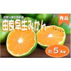 紀州 有田 みかん 秀品 5kg