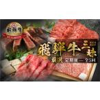 牛肉 セット 飛騨牛 定期便 全5回 毎月 三昧