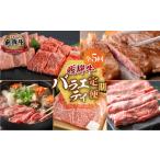 牛肉 セット 飛騨牛 バラエティ 定期便 全5回