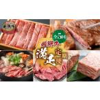 牛肉 セット 飛騨牛 満足 定期便 全5回 毎月