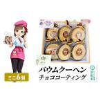 焼菓子 チョコレート バウムクーヘン チョココーティング