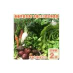 セット 詰合せ 最優秀賞受賞 甘味&栄養 有機JAS認証の無農薬