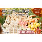 九州産 鱧と松茸の土瓶蒸し 老舗 出汁パック