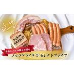 ショッピングふるさと納税 肉 ふるさと納税 肉 ハム 新潟県 新潟市 メッツゲライテラ　セレクトファイブ