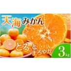 完熟 越冬早生みかん3kg 予定 早生みかん