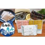 魚貝類 庄内浜の恵み セット 庄内観光物産館