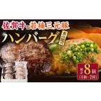 佐賀牛と若楠三元豚のハンバーグ 食べ比べセット 計8個
