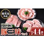 豚肉 セット C05041 産豚厚切りステーキ&amp;しゃぶしゃぶ…