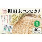 ふるさと納税 玄米 新潟県 村上市 新米受付・令和7年産米 新潟県村上市岩船産 棚田米 コシヒカリ 玄米 10kg NAB4041