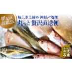 旬の鮮魚等 氷見港朝獲れ高級魚 丸っと贅沢直送便