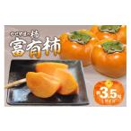果物類 柿 かせやまの柿-富有柿 Lサイズ 約3.5kg
