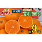 ふるさと納税 果物類 みかん 愛媛県 宇和島市 温州みかん 南柑20号 9kg 家庭用 植村農園 先行予約 mikan みかん 温州蜜柑 愛媛ミカン 愛媛蜜柑 愛媛みかん 温…