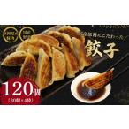 ふるさと納税 肉 静岡県 藤枝市 餃子 120個 野菜 豚肉 冷凍 餃子 大きめ ぎょうざ ギョウザ おつまみ 惣菜 中華 惣菜 業務用 おかず ビール ランキング 弁当 …