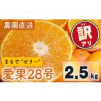 ふるさと納税 果物類 みかん 愛媛県 松山市 先行予約 訳あり 家庭用 愛果28号 2.5kg (約6〜15個) 光センサー選別 11月下旬〜12月下旬発送 訳あり 不揃い 柑橘…