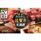 牛肉 サーロイン 佐賀牛 定期便 4回 食べ比べ