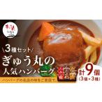 肉 ハンバーグ メディア紹介多数 ぎゅう丸のハンバーグ 3種 バラエティ セット