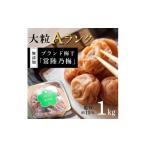 加工品等 梅干 常陸乃梅 大粒Aランク梅干し 1Kg