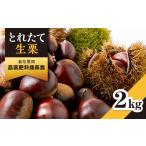 ふるさと納税 茨城県 かすみがうら市 2024年9月以降順次発送とれたて生栗3L、2kg栽培期間農薬肥料燻蒸無　ショコロンファーム【1434373】