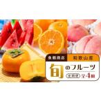 ふるさと納税 果物類 柿 和歌山県 上富田町  6・8・10・12月 全4回 和歌山産 旬のフルーツ お楽しみ 定期便 魚鶴商店 UT108