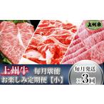 ふるさと納税 牛肉 サーロイン 群馬県 玉村町 「上州牛」毎月堪能お楽しみ定期便（小） 毎月発送×3回お届け
