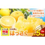 みかん 柑橘類 八朔 はっさく 約5kg