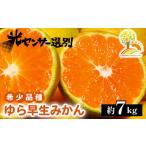 ふるさと納税 果物類 みかん 和歌山県 美浜町  先行予約 ゆら早生 みかん 濃厚な味わい 約7kg 希少品種《有機質肥料100％》極早生 ｜ 由良 ゆら 早生 わせ 柑…