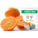 ショッピング甘平 ふるさと納税 みかん・柑橘類 愛媛県 八幡浜市  2026年2月より順次発送 愛媛限定栽培柑橘 甘平(かんぺい)3kg 訳あり E25-137 1138005