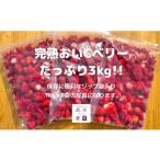 ふるさと納税 いちご 静岡県 牧之原市 冷凍 いちご 苺 3kg 完熟 おいCベリー ヘタ取り いちご 静岡 限定 苺 冷凍いちご 果物 スイーツ いちご 牧之原市 デザー…