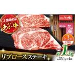 牛肉 ロース 3回定期便 リブロースステーキ 1kg