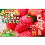 ふるさと納税 いちご 神奈川県 横須賀市 先行予約 数量限定200セット 嘉山農園の完熟バラ詰めいちご とちおとめ(260g×2パック)イチゴ 苺 フルーツ 果物 い…