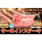 牛肉 サーロイン サーロインステーキ 肉美星牛 約400g
