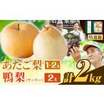 梨 なし 2kg