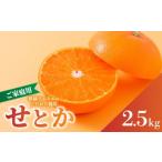ふるさと納税 みかん・柑橘類 愛媛県 松山市 せとか B品 家庭用 2.5kg 順次発送中 | セトカ みかん 蜜柑 柑橘 甘い 高級 先行 予約 果物 フルーツ おすすめ 人…