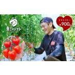 fu.... налог помидор мини помидоры Kumamoto префектура шар название город мини помидоры производство количество Япония один шар название город помидор Berry примерно 900g l овощи помидор Petit Toma to редкий Kumamoto шар название .......