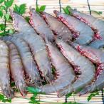 エビ B229-22 冷凍アシアカエビ1kg
