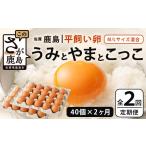 卵 鶏 烏骨鶏等 定期便 2回 平飼い卵 うみとやまとこっこ