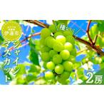 ふるさと納税 ぶどう マスカット 福島県 伊達市 「ぶどうの名産地・伊達」 酒井ぶどう園 シャインマスカット2房(合計1.2〜1.5kg) 葡萄 フルーツ 果物 ぶどう…